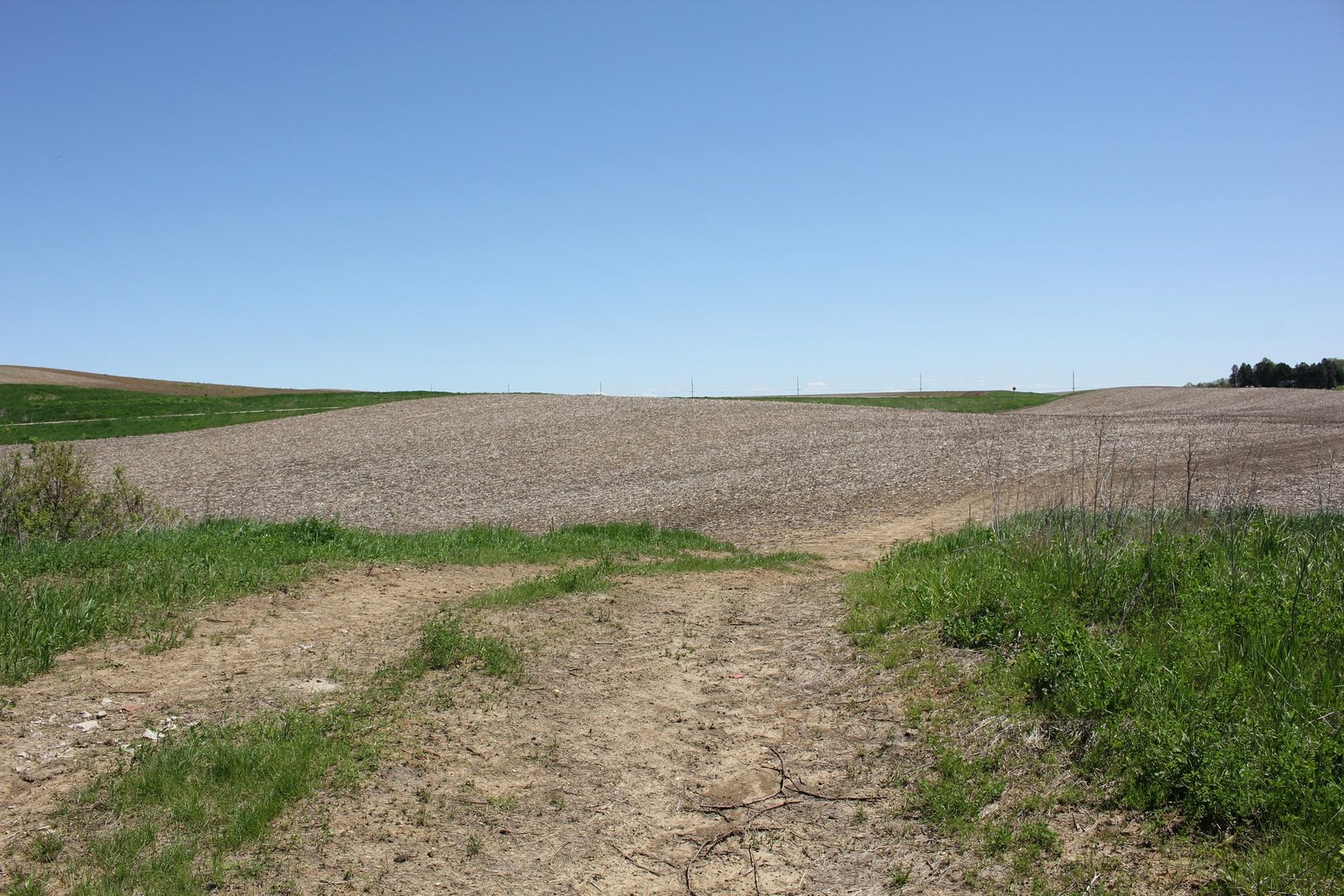 Looking south